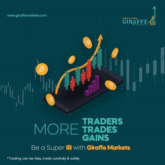 Giraffe markets Review: How To Recover Funds Now images 47